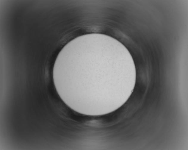 X0000088440312200706191257