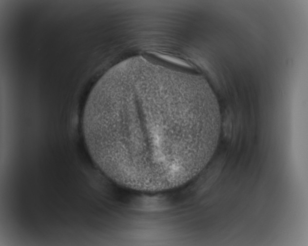 X0000088440314200706191257