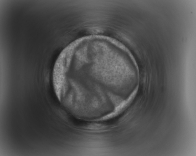 X0000088440315200706191257