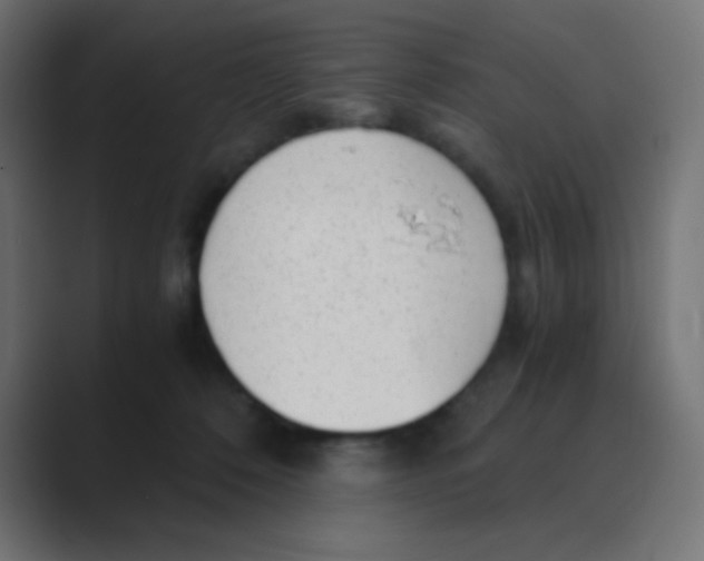 X0000088440320200706191257