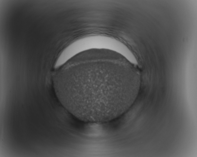 X0000088440325200706191257