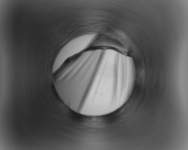 X0000088440329200706191257