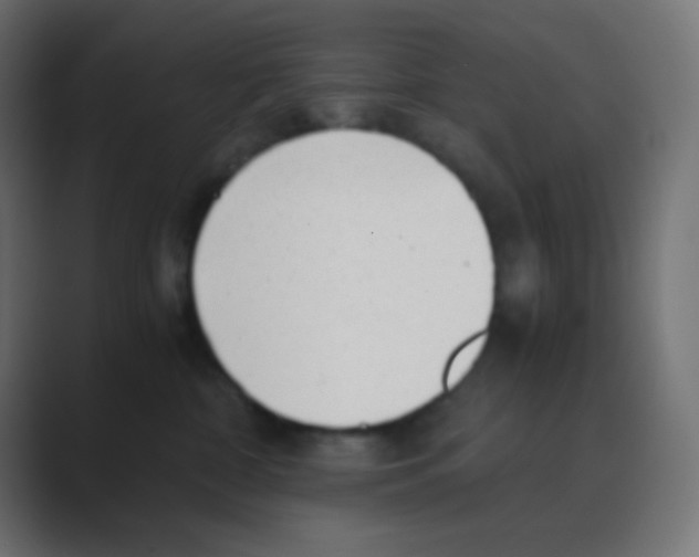 X0000088440332200706191257