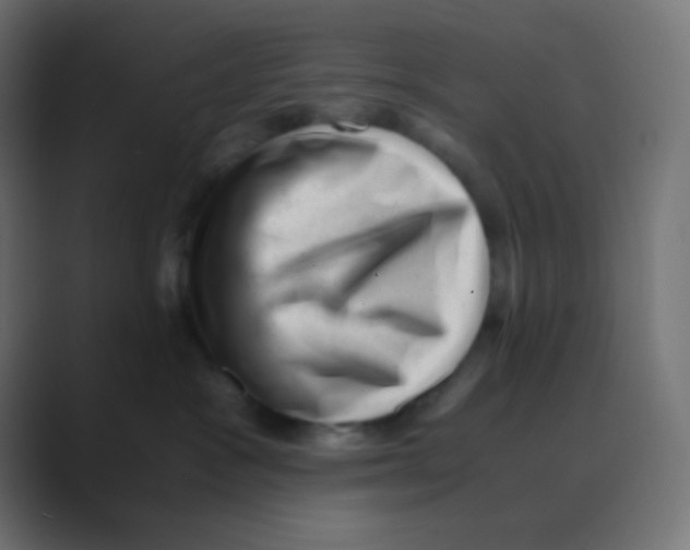 X0000088440333200706191257