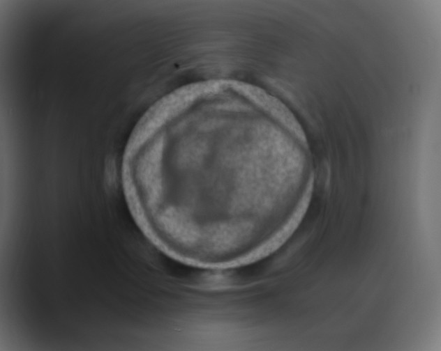 X0000088440335200706191257