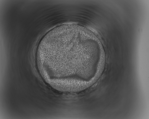 X0000088440337200706191257