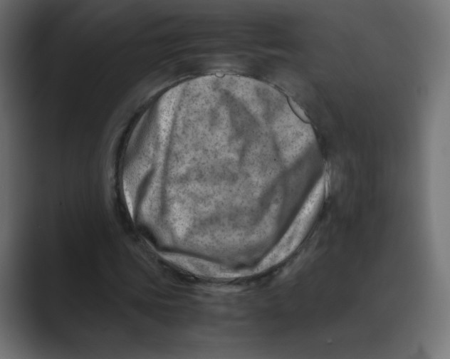 X0000088440339200706191257