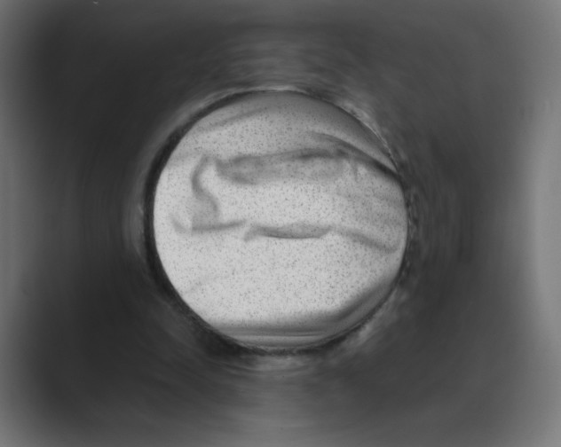 X0000088440342200706191257