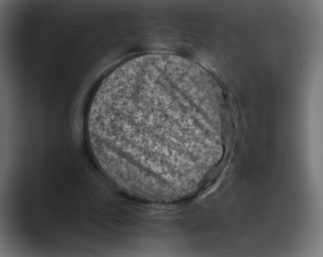 X0000088440343200706191257