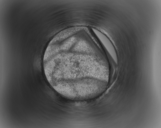 X0000088440345200706191257