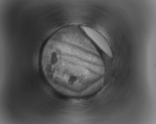 X0000088440346200706191257