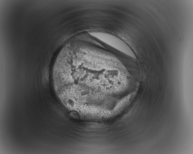 X0000088440347200706191257