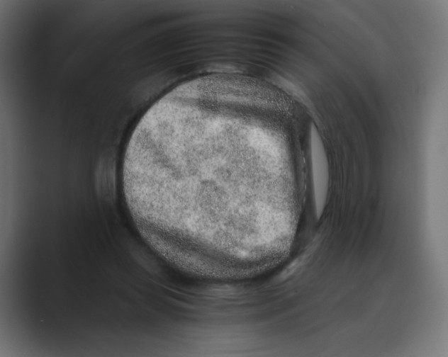 X0000088440349200706191257