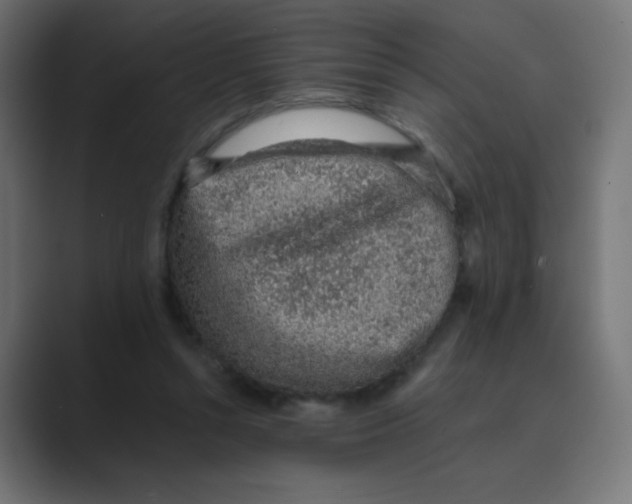 X0000088440352200706191257