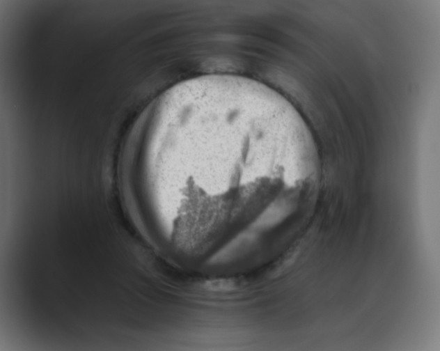 X0000088440353200706191257