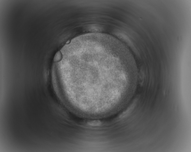 X0000088440355200706191257