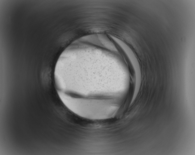 X0000088440356200706191257