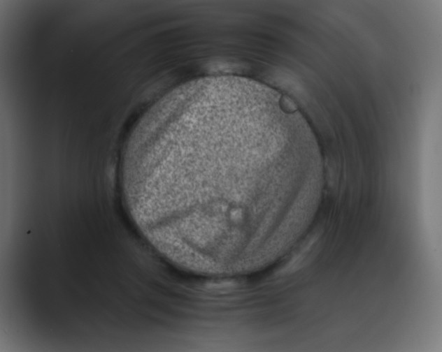 X0000088440357200706191257