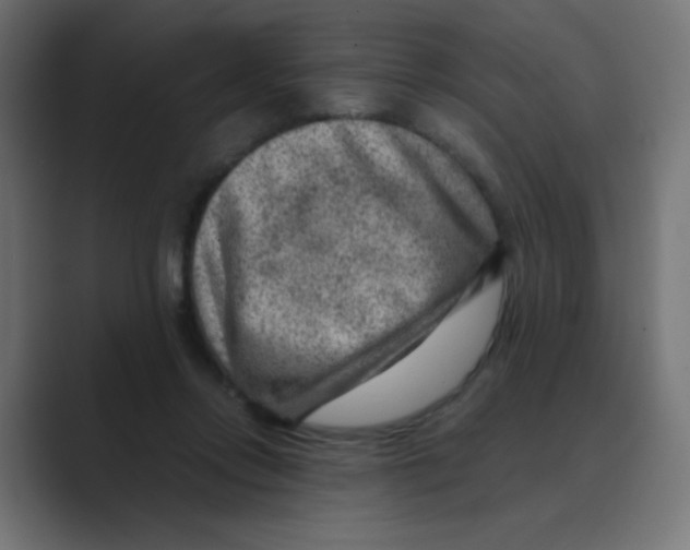 X0000088440358200706191257