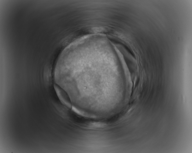 X0000088440360200706191257