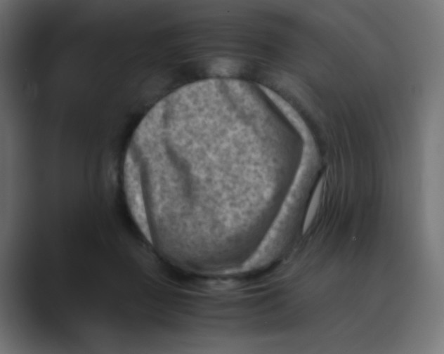 X0000088440363200706191257