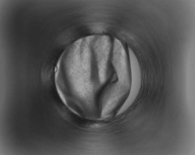 X0000088440364200706191257