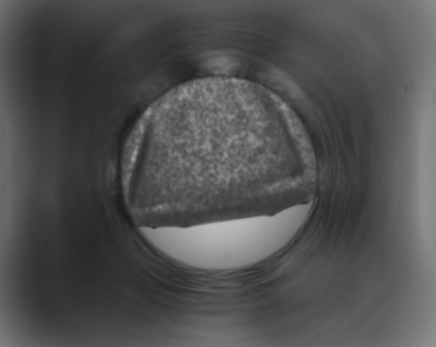 X0000088440365200706191257