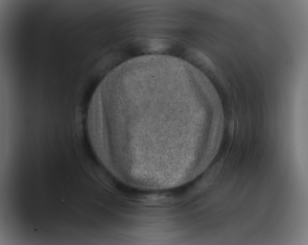 X0000088440366200706191257