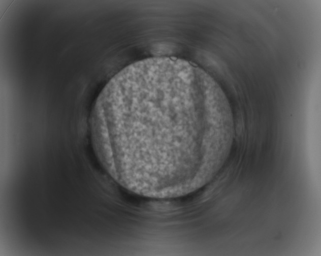 X0000088440367200706191257