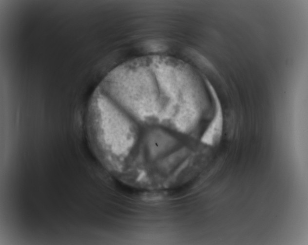 X0000088440373200706191257