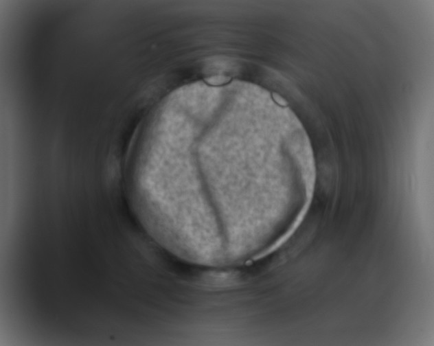 X0000088440375200706191257