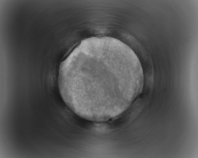 X0000088440376200706191257