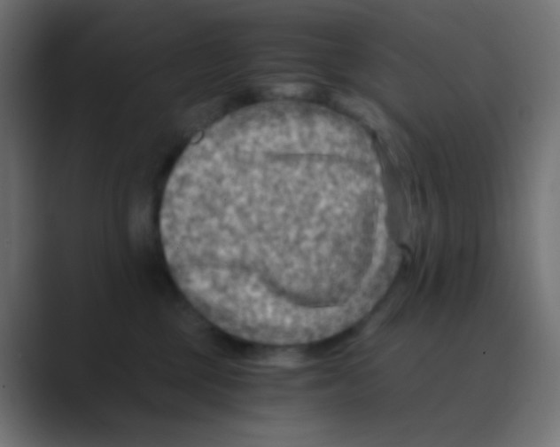 X0000088440377200706191257