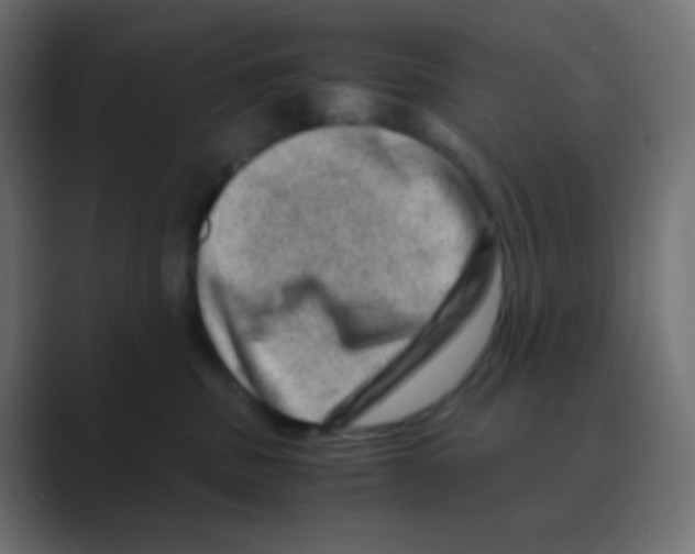 X0000088440379200706191257