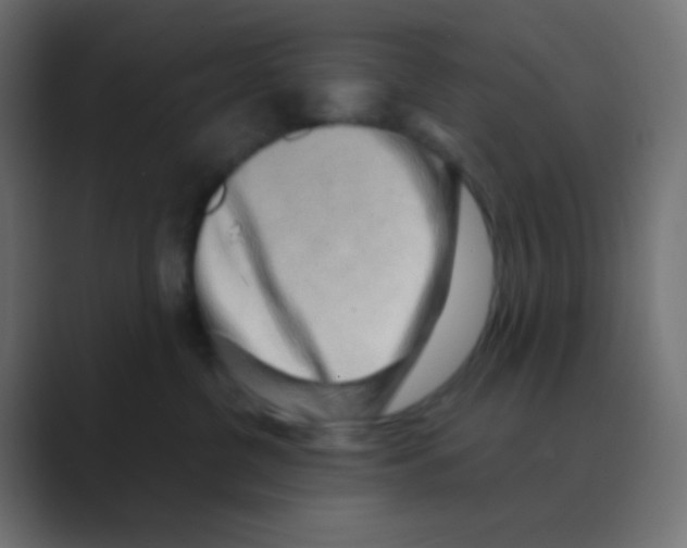 X0000088440380200706191257