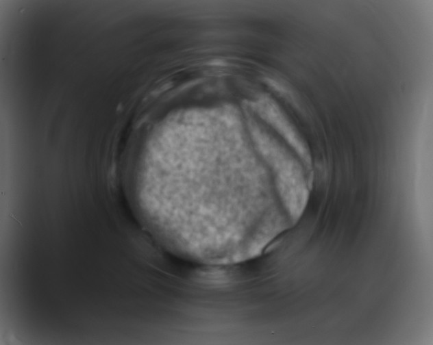 X0000088440381200706191257