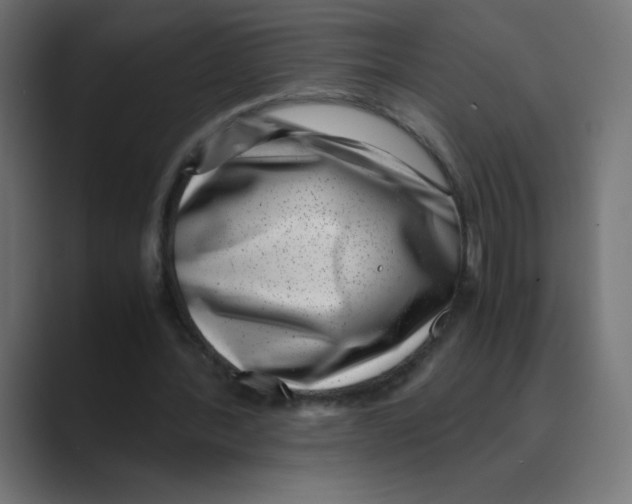 X0000088440388200706191257