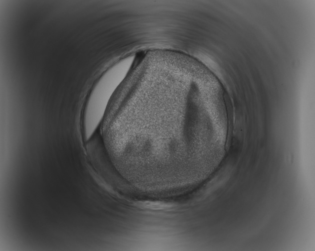 X0000088440389200706191257