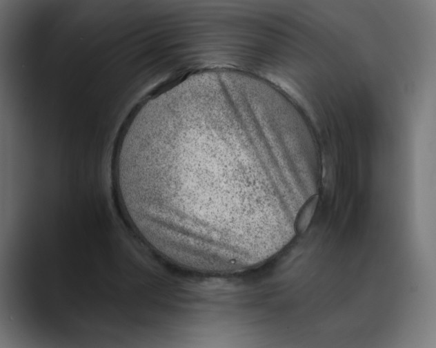 X0000088440390200706191257