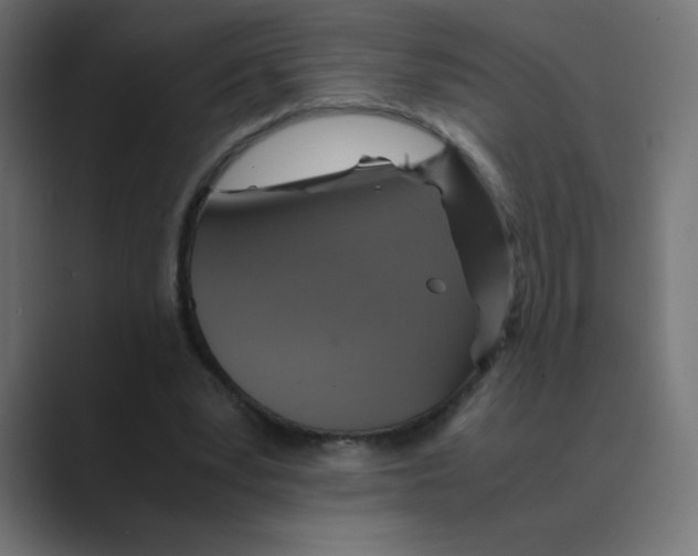 X0000088440391200706191257