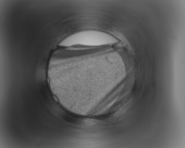 X0000088440393200706191257