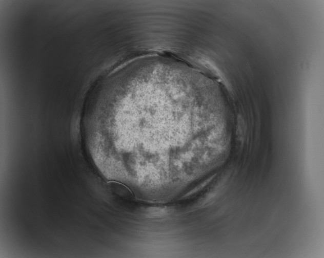 X0000088440394200706191257