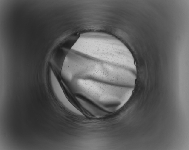 X0000088440395200706191256