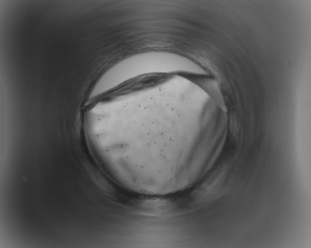 X0000088440397200706191256