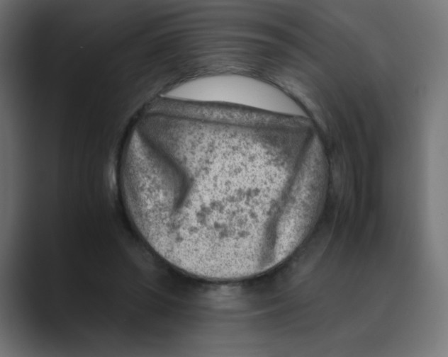 X0000088440398200706191256