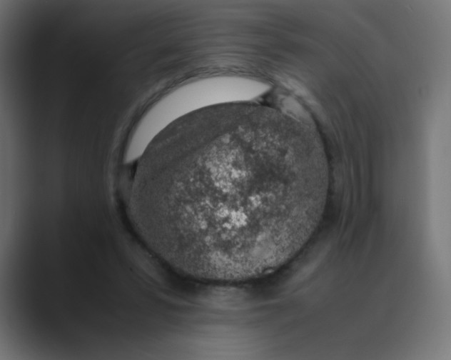 X0000088440399200706191256