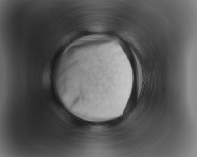 X0000088440400200706191256