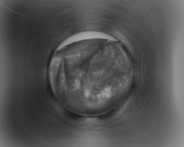 X0000088440401200706191256