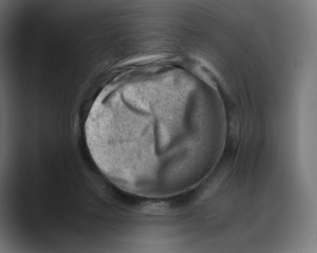 X0000088440403200706191256