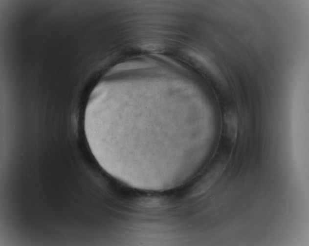 X0000088440404200706191256